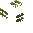 Lush Bush
