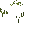 Palm Bush