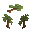 Palm Sapling