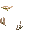 Spinal Skeleton