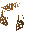 Tall Arid Grass