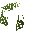 Tall Lush Grass