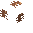 Timberfungus