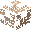 Turtle Skeleton