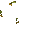 Coconut Crop