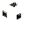 Poster Wither Of Darkness