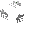 Skeleton Placement