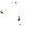 Screaming Sheep Head