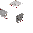 Cerberus Head