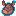 Beryl Armadillo