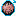 Beryl Mutant Pig