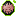 Llano Mutant Pig