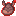 Sanguine Armadillo