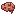 Brain