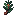 Spruce Twig
