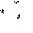 Golem Statue
