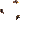 Villager Statue