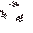 Sapling Dark