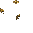 Diamond Roost
