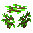 Emerald Sapling