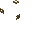 Wooden Crucible