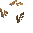 Broken Driftwood Path