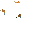Breeder Aquarium\nAquarium