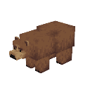 Quest Icon Bear