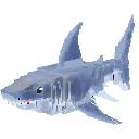 Quest Icon Shark