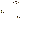 Minotaur Trophy