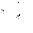 Yeti Trophy