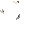 Antigravity TNT