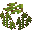 Bennettitales Sapling