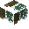 Cheirolepidiceae Thin