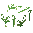 Early Fern