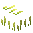Lycopod
