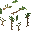 Neuropteris