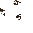 Dec Steps Dark Oak
