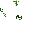Flower Starter