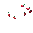 Fruit Cherry