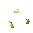 Fruit Pear