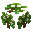 Sapling Chestnut