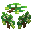Sapling Pear