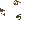 Step Support