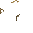 Vine Frame