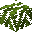 Banana Tree Leaves