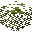 Baobab Tree Leaves