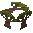 Baobab Tree Sapling