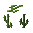 Cactus Tree Sapling