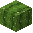 Cactus Wood